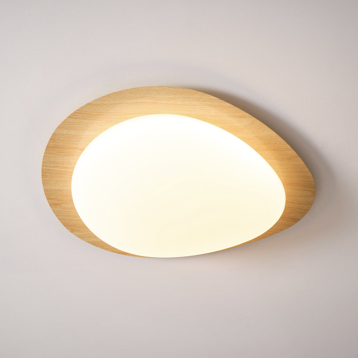 Contemporary Iron Wood-Trim Rim Ceiling Light 1-Light