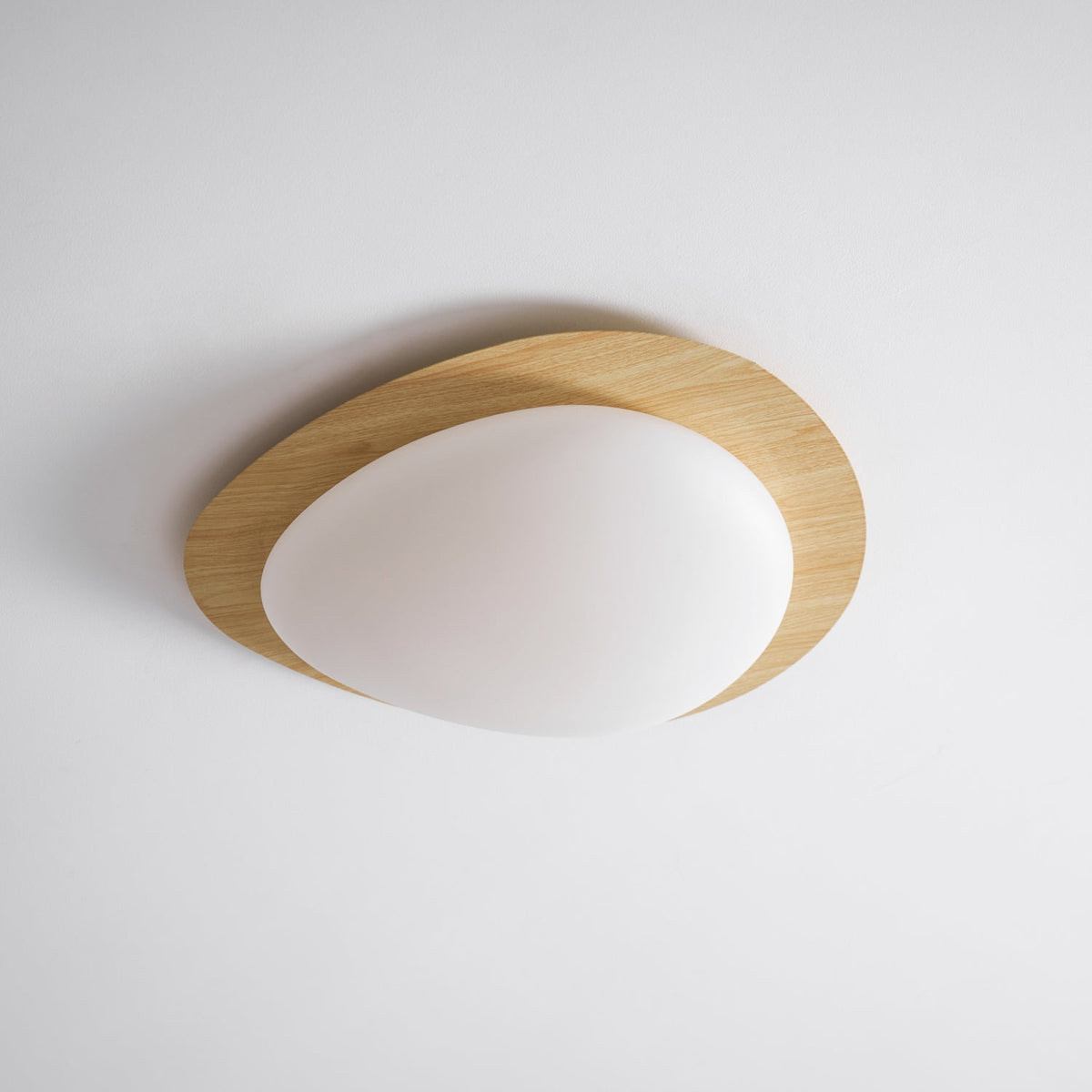 Contemporary Iron Wood-Trim Rim Ceiling Light 1-Light