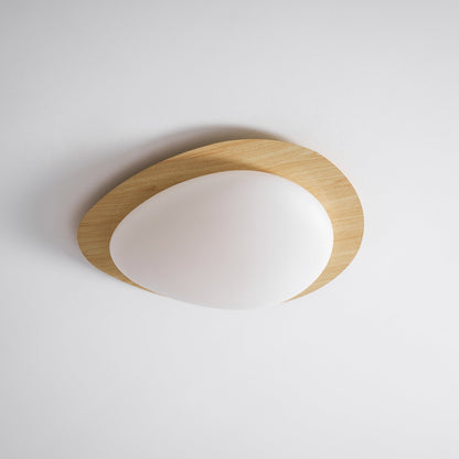 Contemporary Iron Wood-Trim Rim Ceiling Light 1-Light
