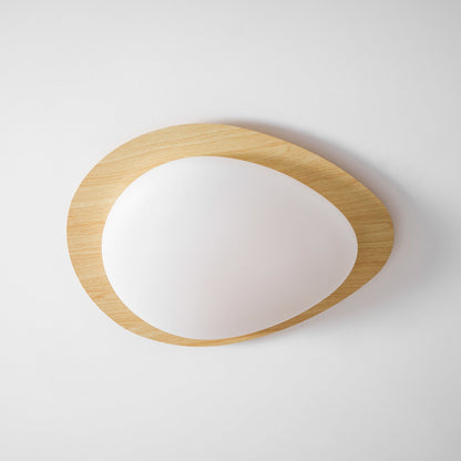 Contemporary Iron Wood-Trim Rim Ceiling Light 1-Light