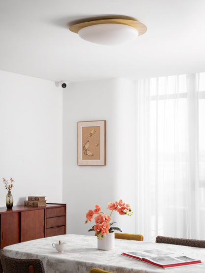 Contemporary Iron Wood-Trim Rim Ceiling Light 1-Light