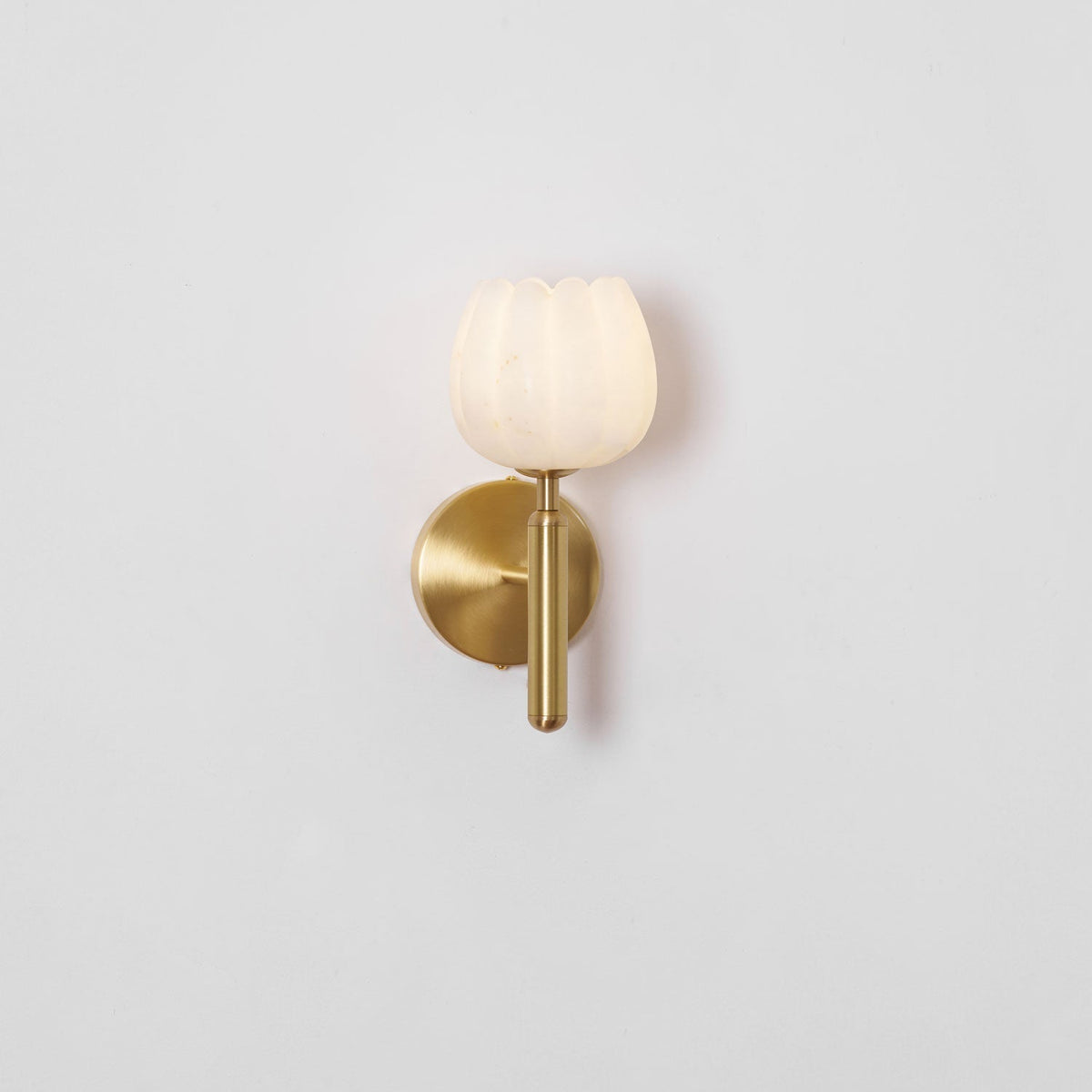 Contemporary Glass Round Backplate Wall Light 1-Light