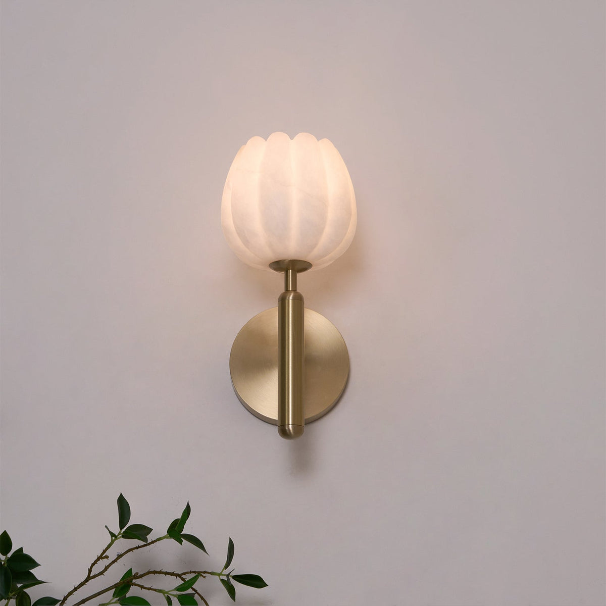 Contemporary Glass Round Backplate Wall Light 1-Light