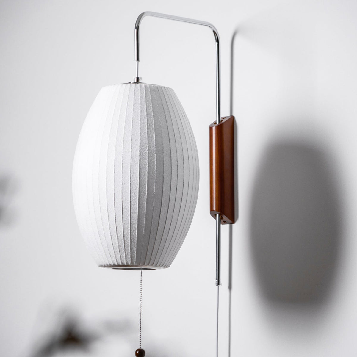 Contemporary Polymer Pull Chain Wall Light 1-Light