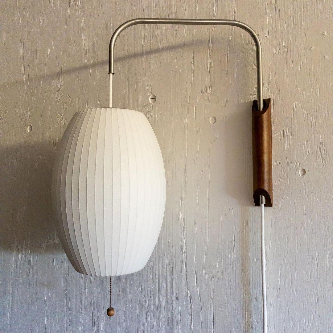 Contemporary Polymer Pull Chain Wall Light 1-Light