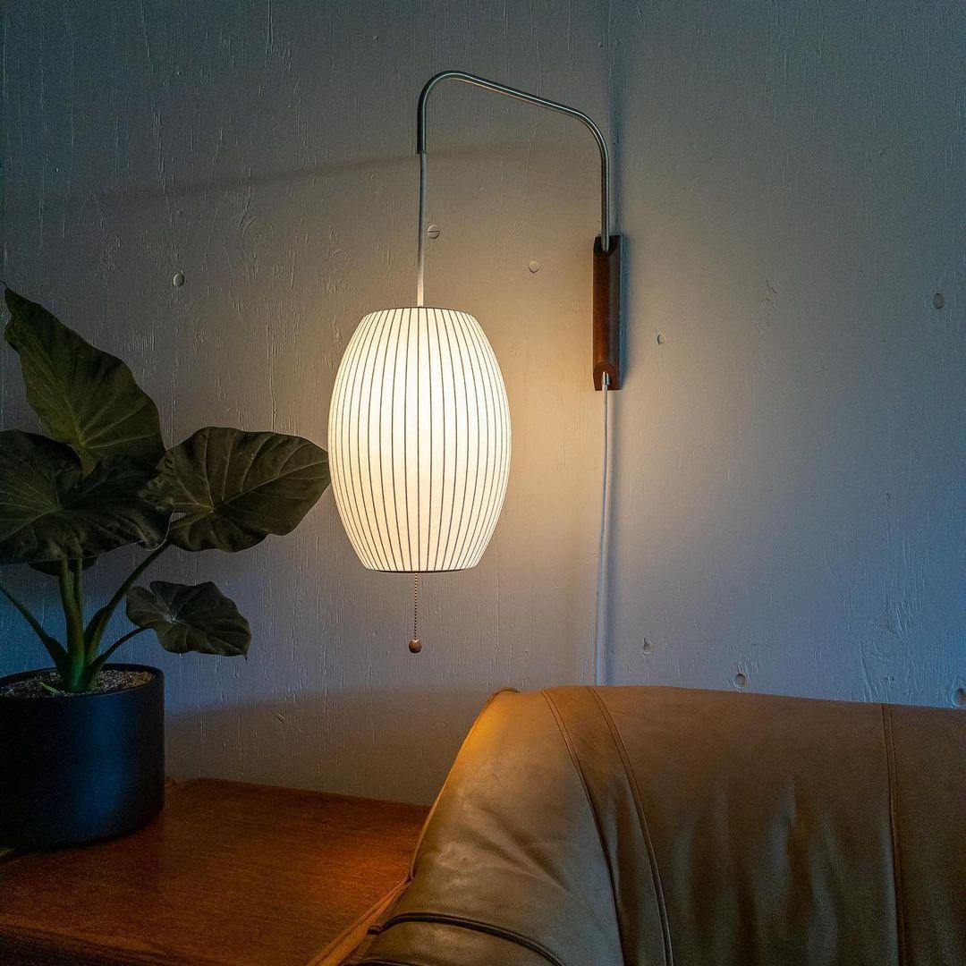 Contemporary Polymer Pull Chain Wall Light 1-Light