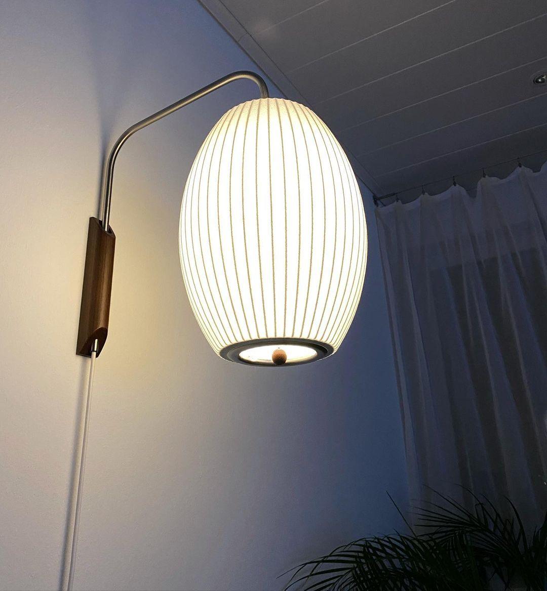 Contemporary Polymer Pull Chain Wall Light 1-Light