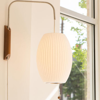 Contemporary Polymer Pull Chain Wall Light 1-Light