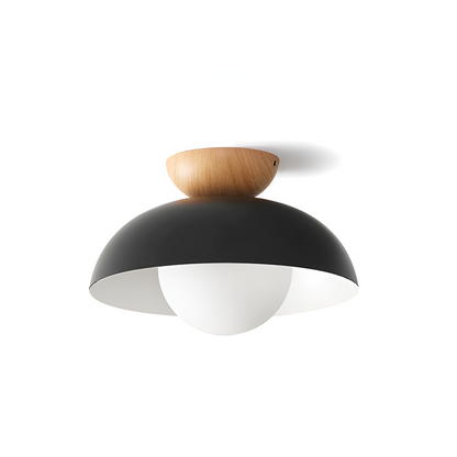 Contemporary Minimalist Glass Dome LED Ceiling Light 1-Light
