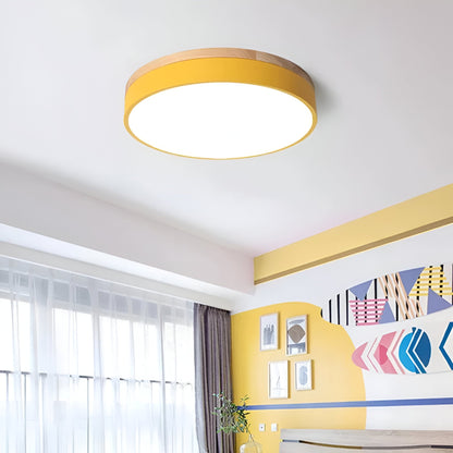 Nordic Iron Acrylic Diffuser Ceiling Light 1-Light