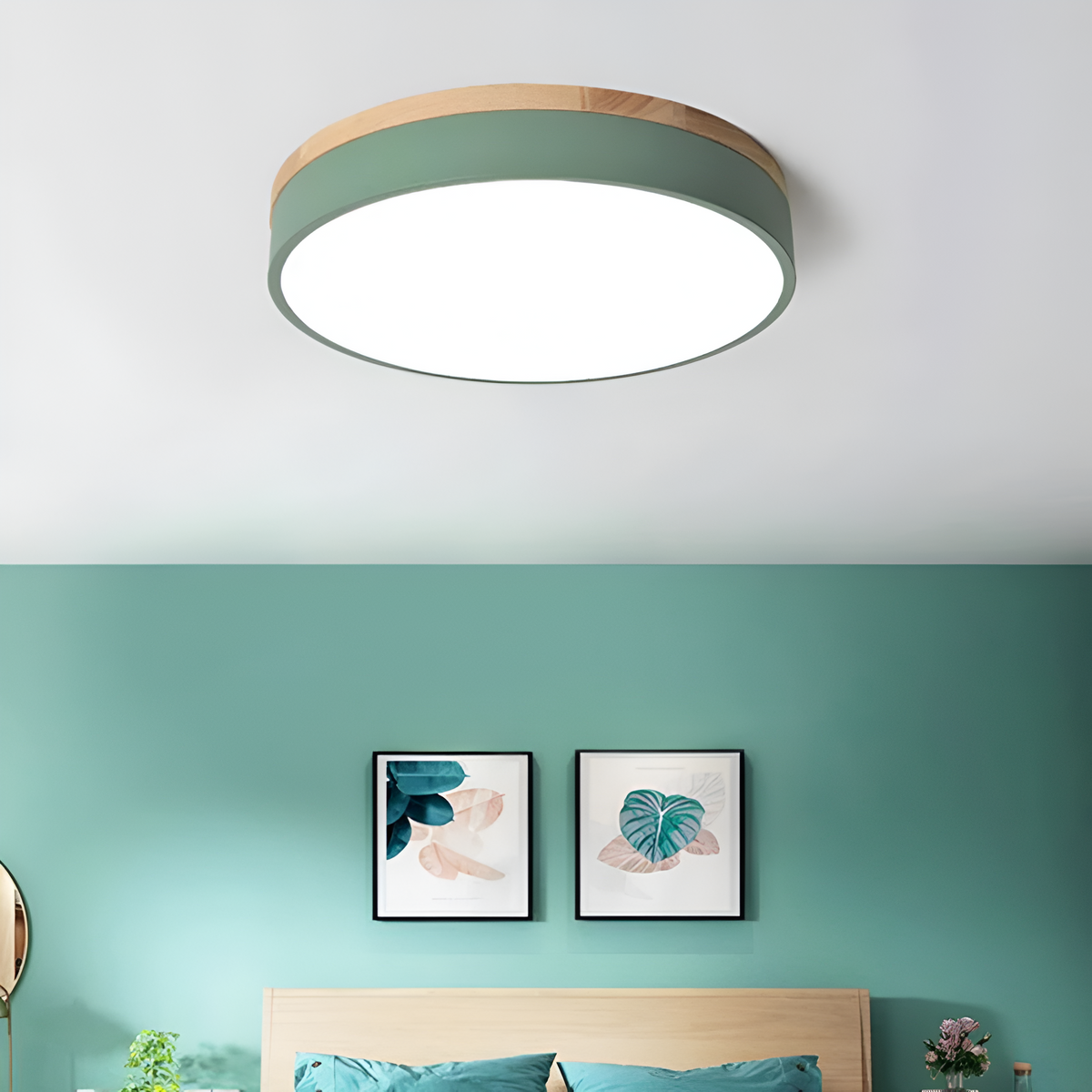 Nordic Iron Acrylic Diffuser Ceiling Light 1-Light