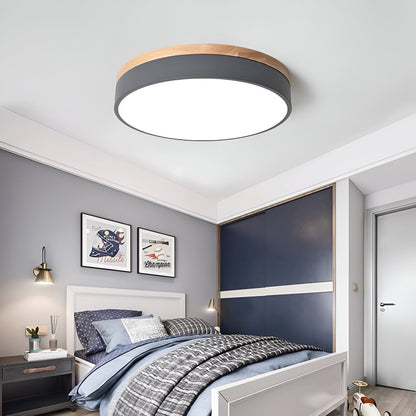 Nordic Iron Acrylic Diffuser Ceiling Light 1-Light
