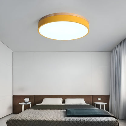 Nordic Iron Acrylic Diffuser Ceiling Light 1-Light