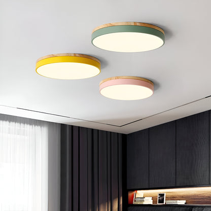 Nordic Iron Acrylic Diffuser Ceiling Light 1-Light
