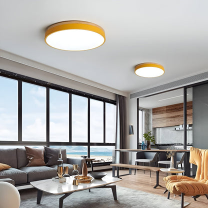 Nordic Iron Acrylic Diffuser Ceiling Light 1-Light