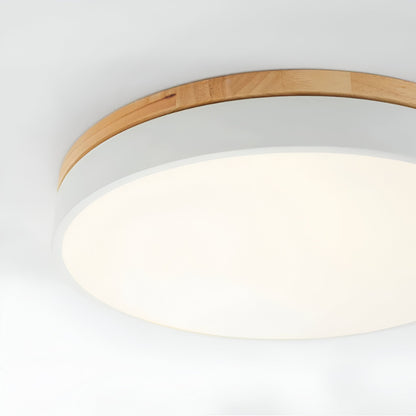 Nordic Iron Acrylic Diffuser Ceiling Light 1-Light