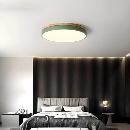 Nordic Iron Acrylic Diffuser Ceiling Light 1-Light