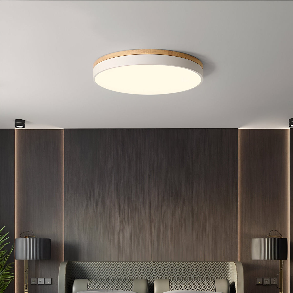 Nordic Iron Acrylic Diffuser Ceiling Light 1-Light