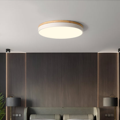 Nordic Iron Acrylic Diffuser Ceiling Light 1-Light