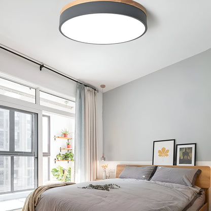 Nordic Iron Acrylic Diffuser Ceiling Light 1-Light
