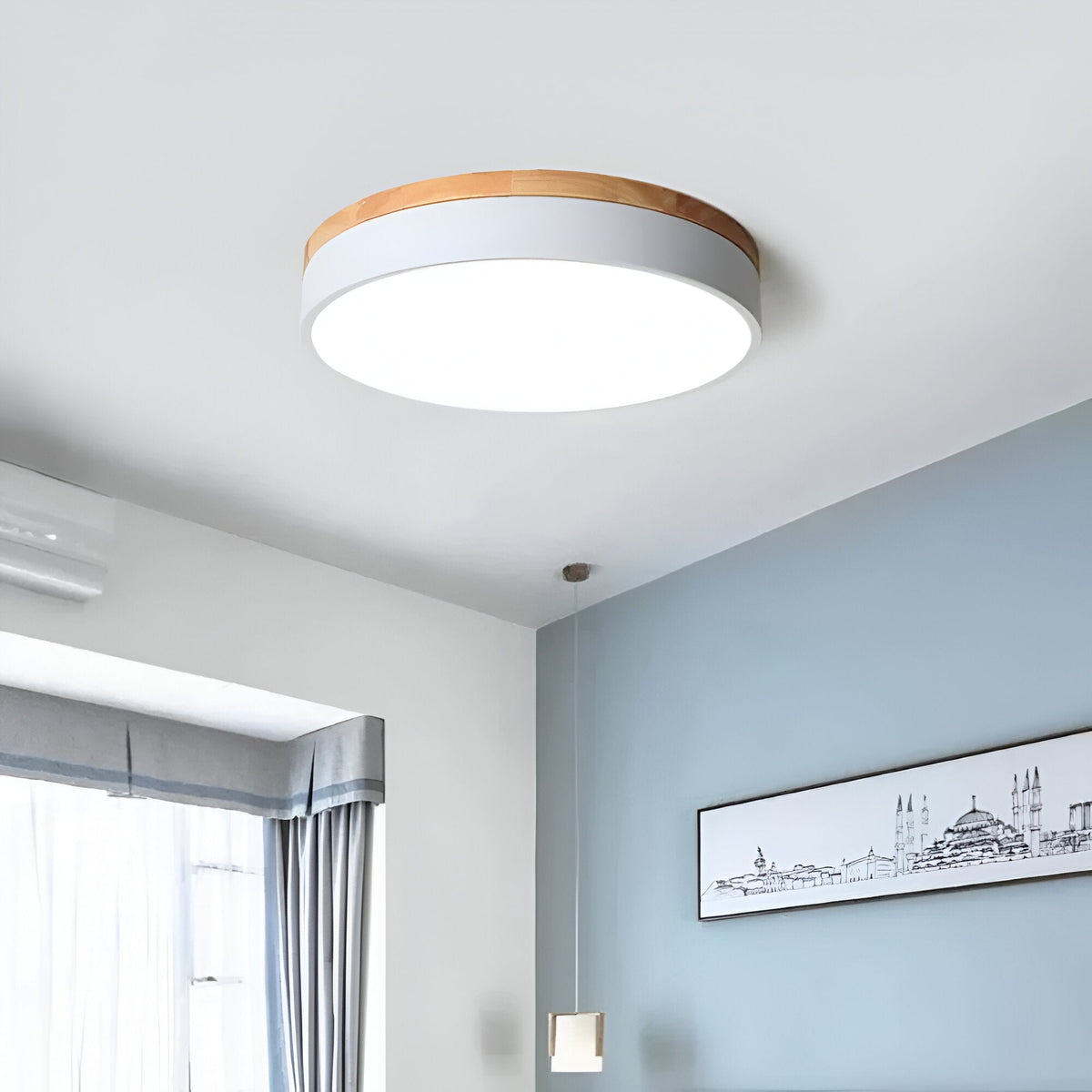 Nordic Iron Acrylic Diffuser Ceiling Light 1-Light