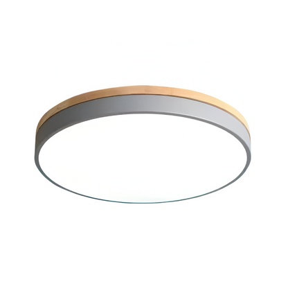 Nordic Iron Acrylic Diffuser Ceiling Light 1-Light