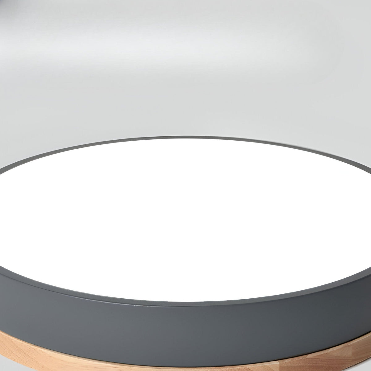 Nordic Iron Acrylic Diffuser Ceiling Light 1-Light