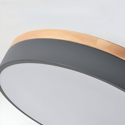Nordic Iron Acrylic Diffuser Ceiling Light 1-Light