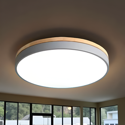 Nordic Iron Acrylic Diffuser Ceiling Light 1-Light