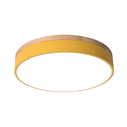 Nordic Iron Acrylic Diffuser Ceiling Light 1-Light