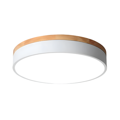 Nordic Iron Acrylic Diffuser Ceiling Light 1-Light