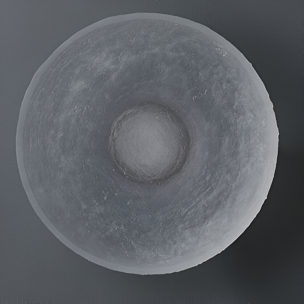 Contemporary Minimalist Resin Round Wall Sconce LED 1-Light