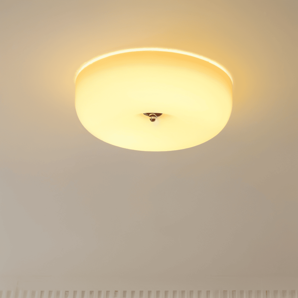 Contemporary Glass Smooth Dome Ceiling Light 1-Light