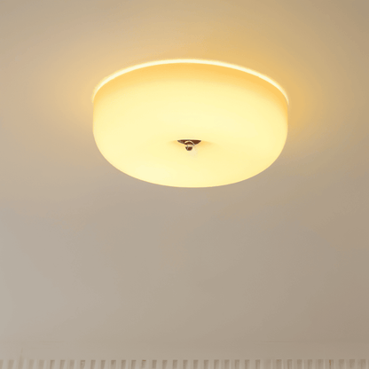 Contemporary Glass Smooth Dome Ceiling Light 1-Light
