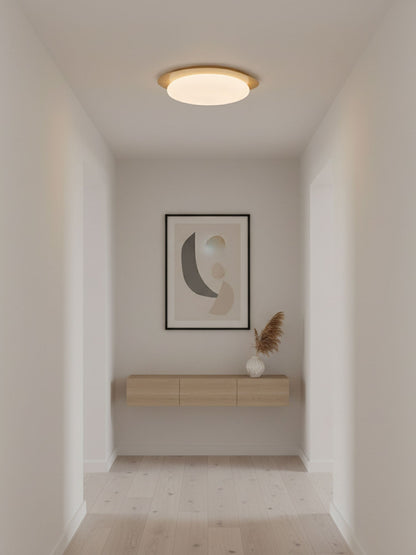 Contemporary Iron Wood-Trim Rim Ceiling Light 1-Light