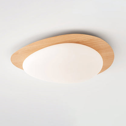Contemporary Iron Wood-Trim Rim Ceiling Light 1-Light