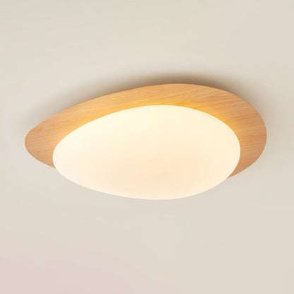 Contemporary Iron Wood-Trim Rim Ceiling Light 1-Light