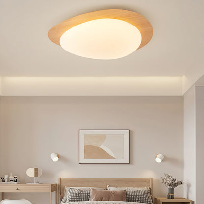 Contemporary Iron Wood-Trim Rim Ceiling Light 1-Light