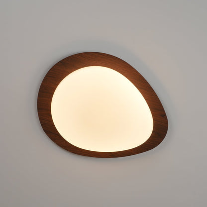 Contemporary Iron Wood-Trim Rim Ceiling Light 1-Light