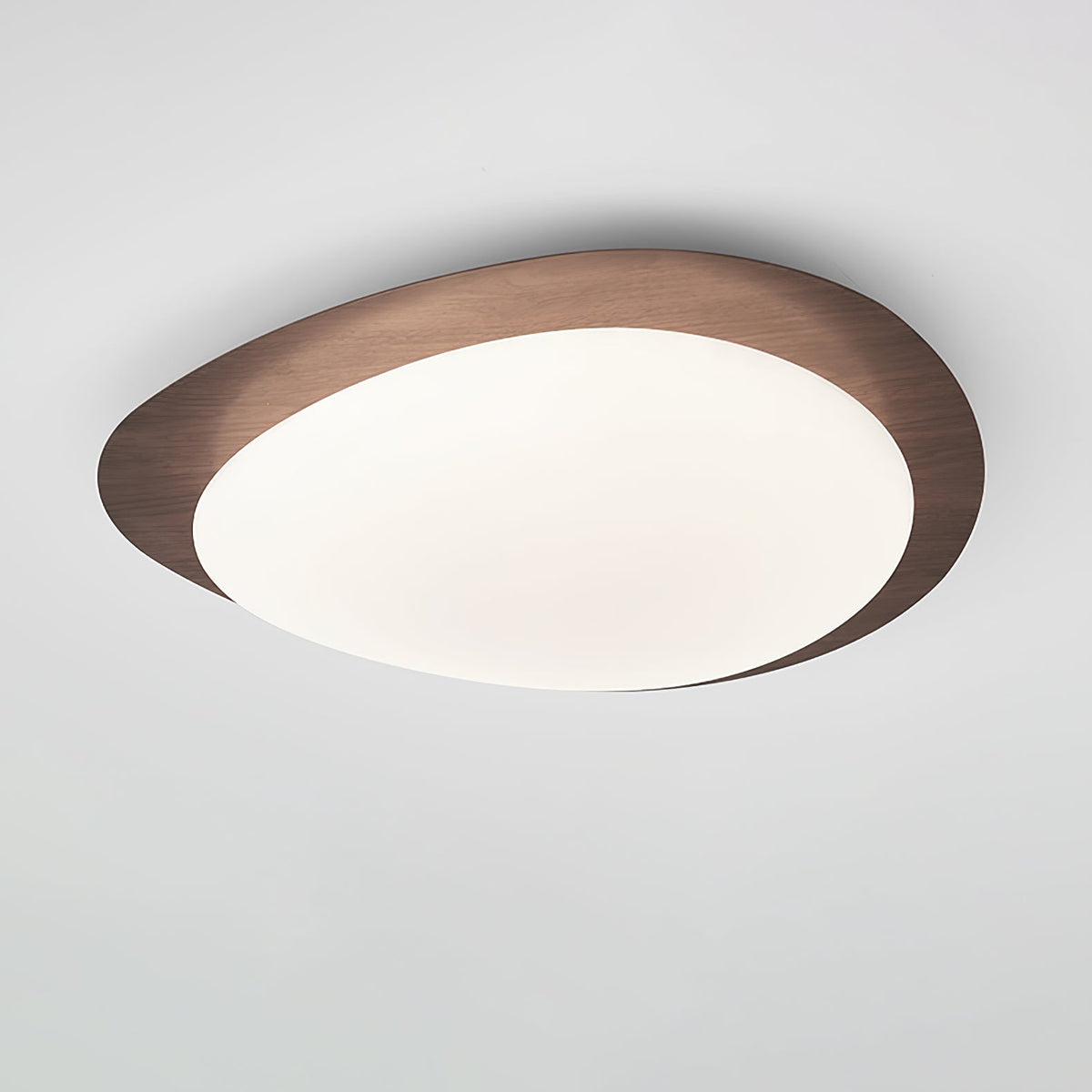 Contemporary Iron Wood-Trim Rim Ceiling Light 1-Light