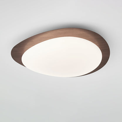 Contemporary Iron Wood-Trim Rim Ceiling Light 1-Light