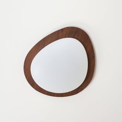 Contemporary Iron Wood-Trim Rim Ceiling Light 1-Light
