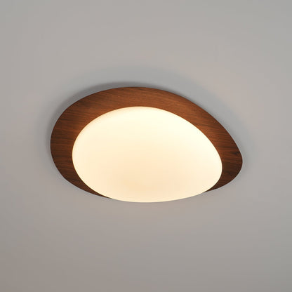 Contemporary Iron Wood-Trim Rim Ceiling Light 1-Light