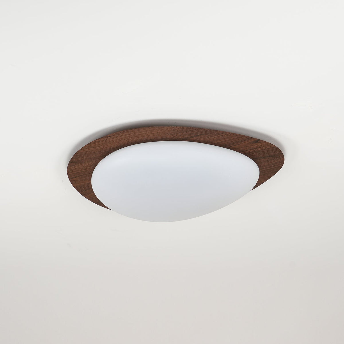 Contemporary Iron Wood-Trim Rim Ceiling Light 1-Light