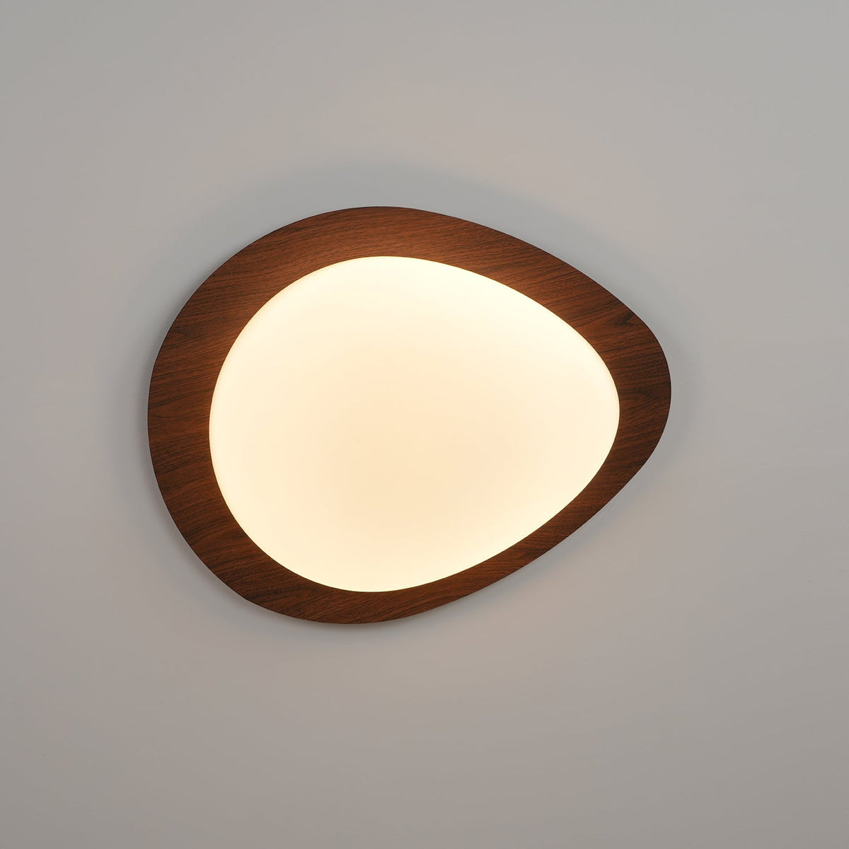 Contemporary Iron Wood-Trim Rim Ceiling Light 1-Light