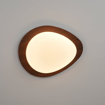 Contemporary Iron Wood-Trim Rim Ceiling Light 1-Light