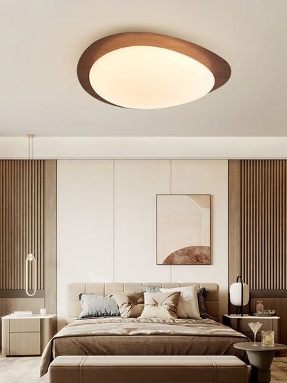 Contemporary Iron Wood-Trim Rim Ceiling Light 1-Light