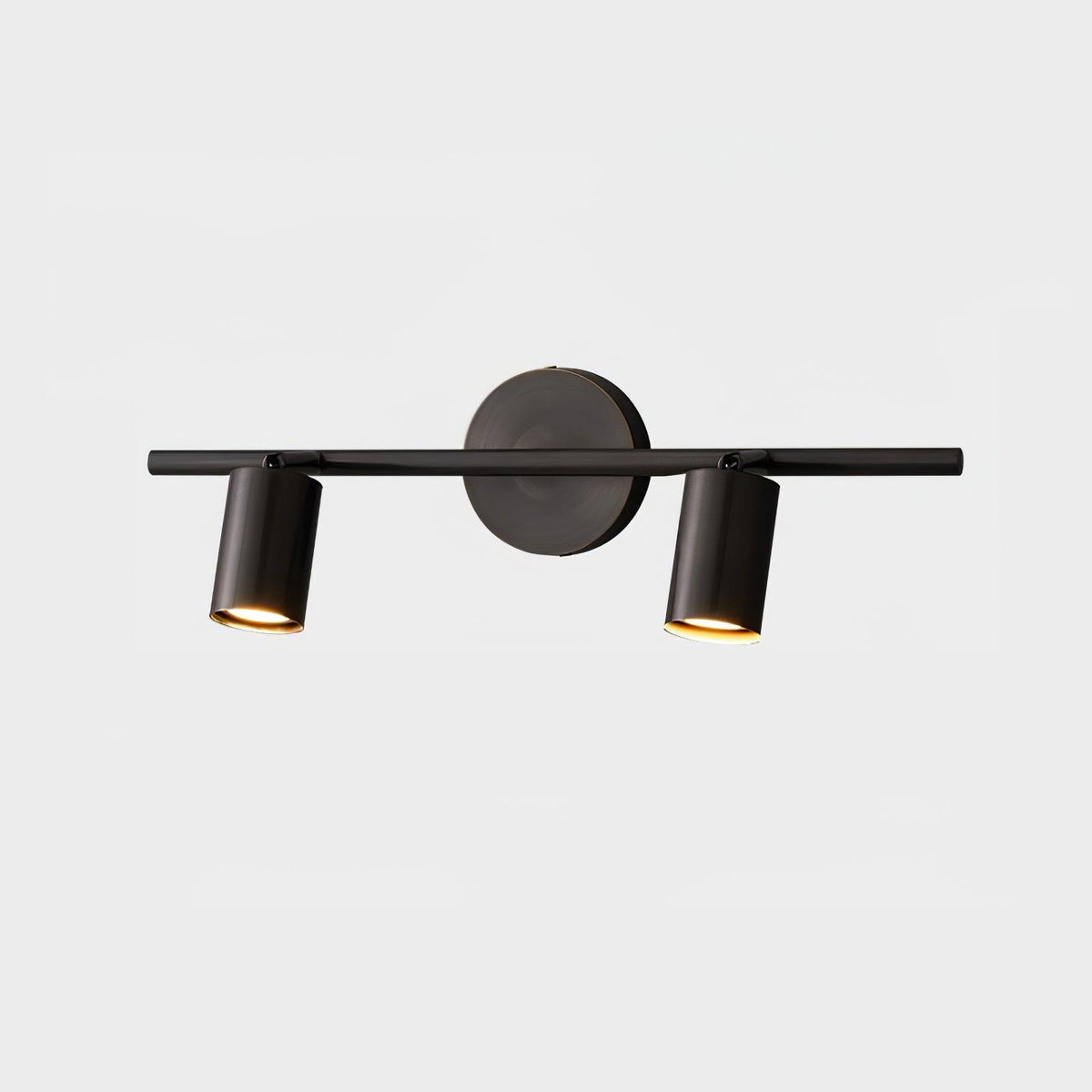 Contemporary Brass Double Cylinder Adjustable Wall Spotlight