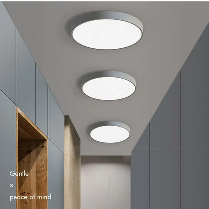 Contemporary Minimalist Round LED Ceiling Light 1-Light
