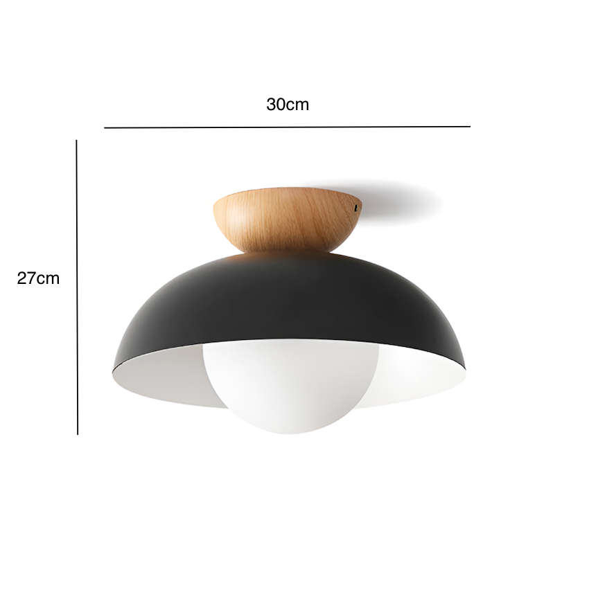 Contemporary Minimalist Glass Dome LED Ceiling Light 1-Light